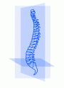 Funktionelle Osteopathie und Integration